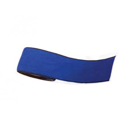 https://www.pserviceweb.com/shop/12414-large_default/fascia-elastica-conduttiva-per-elettrosculture-25mm.jpg