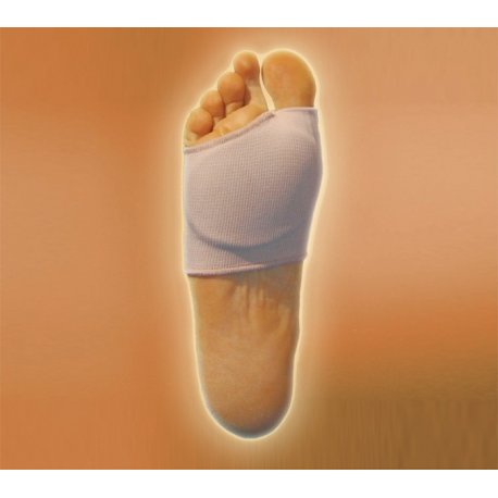 Fascia elastica