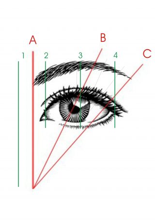 schema sopracciglia